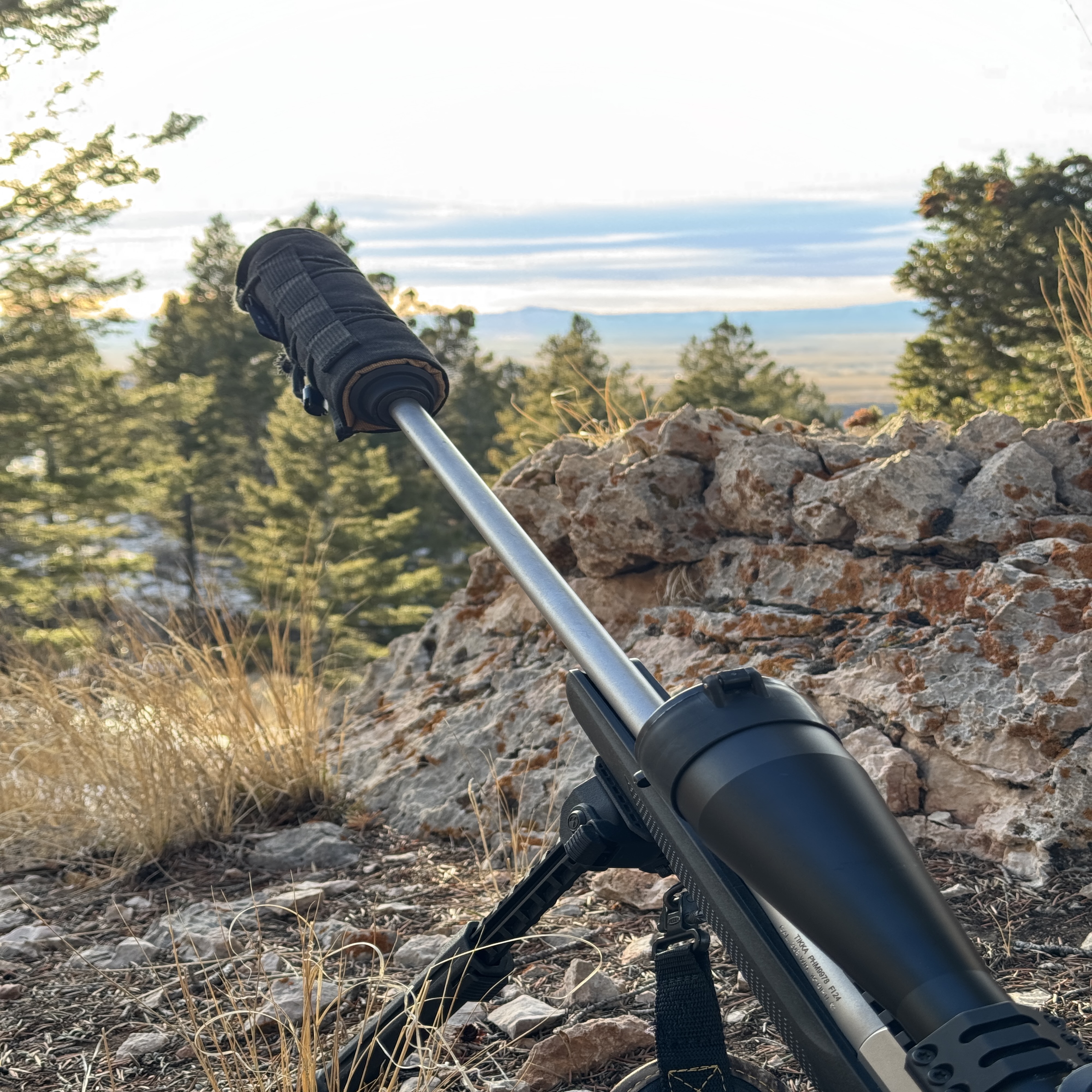 Executive Procurement — bottom