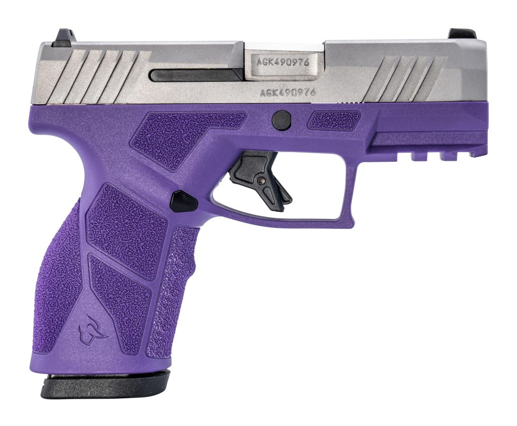 GX2 9MM SS/D PURPLE 3.3" 10+1 - 1-GX2939DP-10