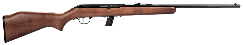 64 SEMI-AUTO 22LR BL/WD 10+1 - 30000
