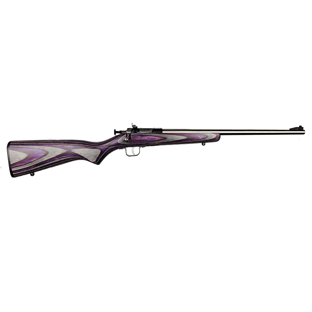 CRICKETT 22LR SS/PURPLE LAM - BLUE RECEIVER W/STAINLESS BBL