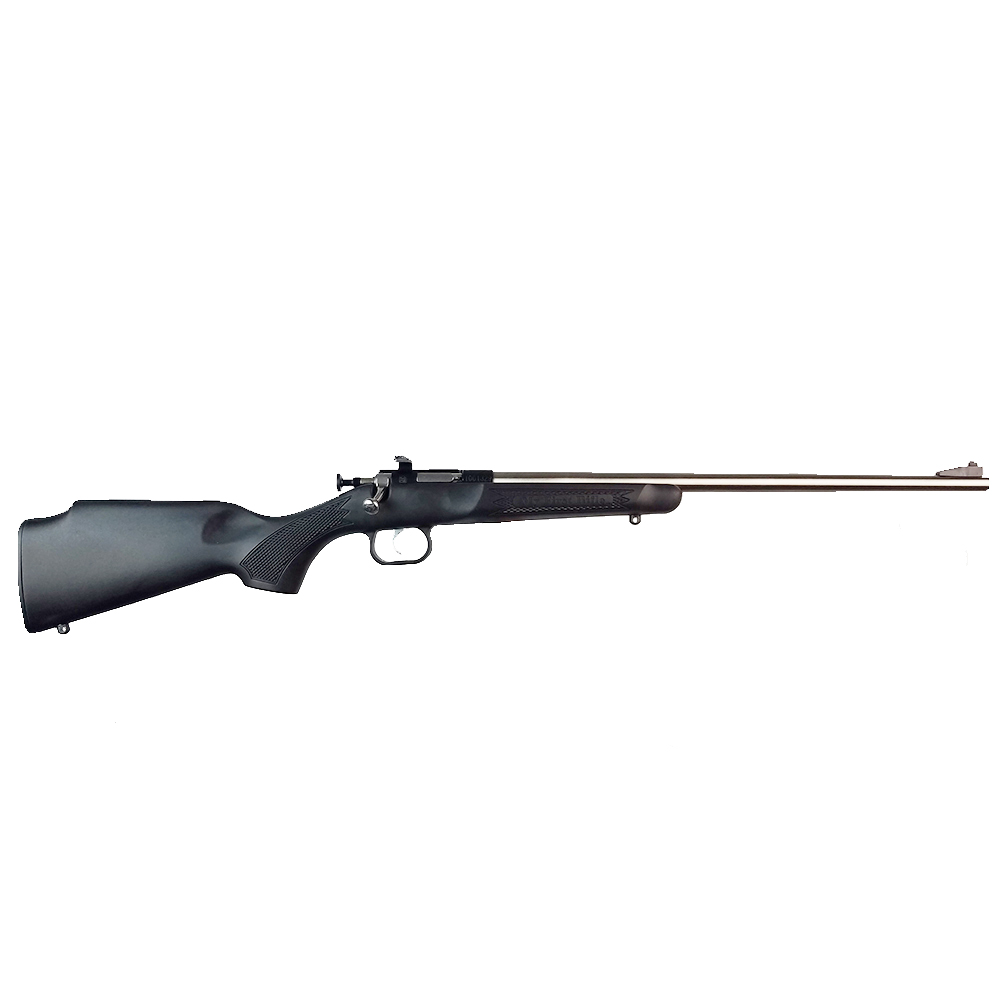 CRICKETT 22LR SS/BLACK SYN - BLUE RECEIVER W/STAINLESS BBL