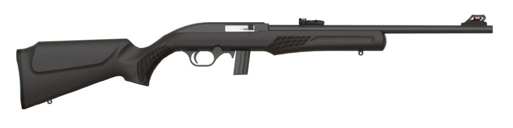 RS22 22LR BLK/SYN 18" 10+1 - SEMI-AUTO|FIBER OPTIC SIGHTS