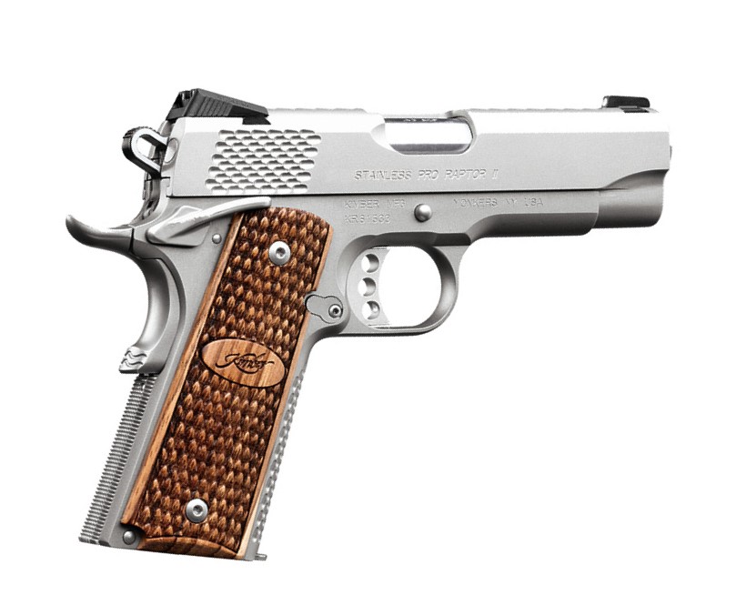 STAINLESS PRO RAPTOR II 45ACP